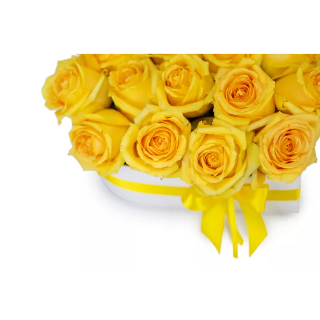 Květinový box růží